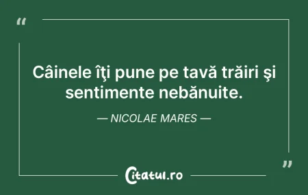 Ura e un sentiment care nu poate exista ... Ura e un sentiment care nu poate exista ...