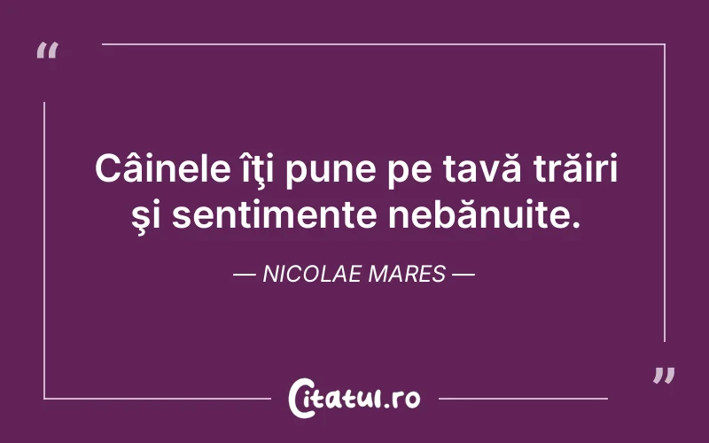 Câinele îţi pune pe tavă trăiri şi sentimente nebănuite. Nicolae Mares