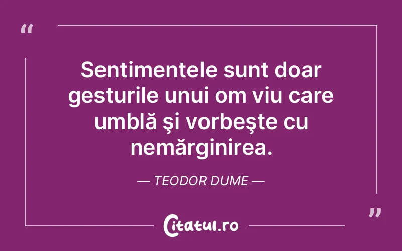 Citat Teodor Dume - citate viata