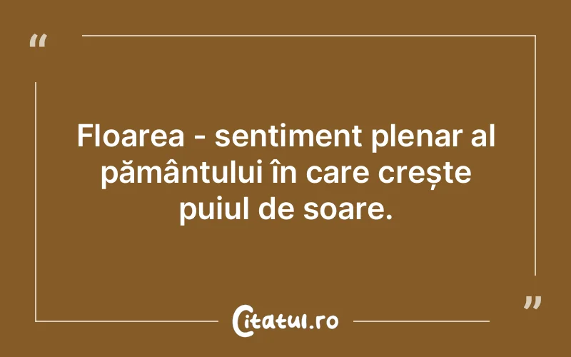 Citat Autor necunoscut - citate viata