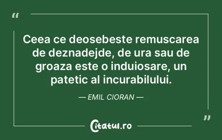 Ura nu calculeaza, nu cugeta niciodata s... Ura nu calculeaza, nu cugeta niciodata s...
