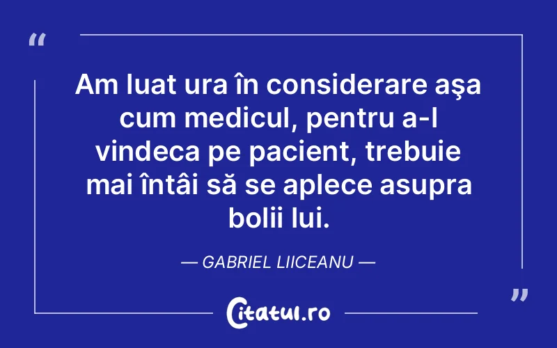 Citat Gabriel Liiceanu - citate viata