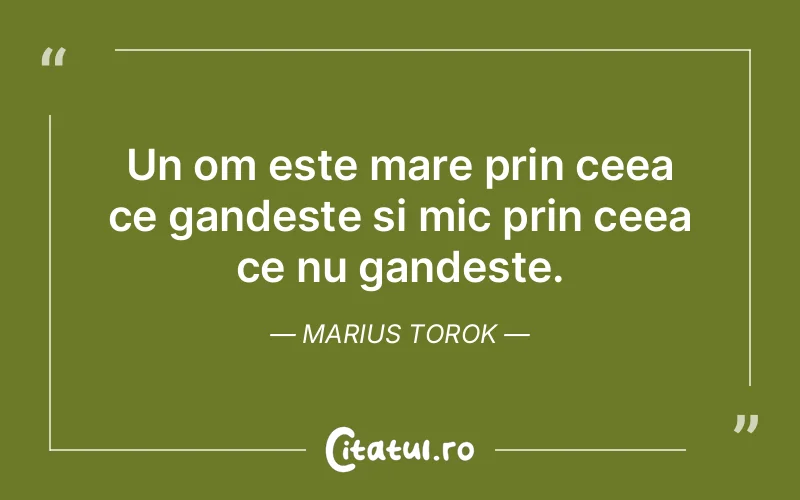 Citat Marius Torok - citate viata