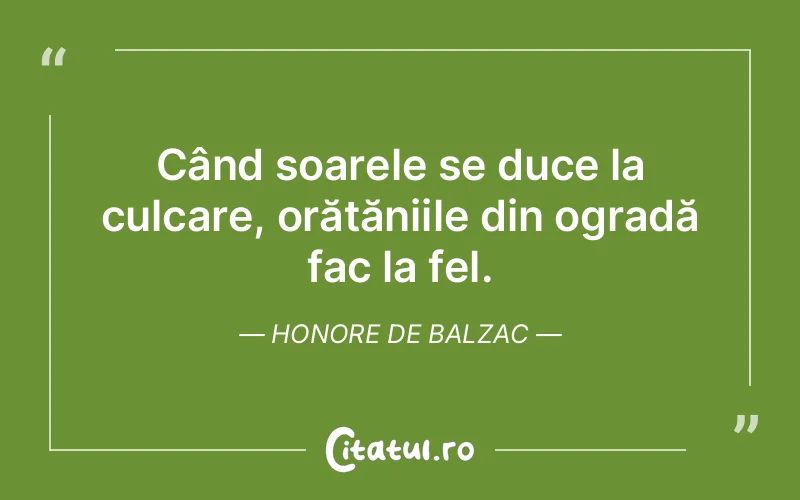 Citat Autor necunoscut - citate viata