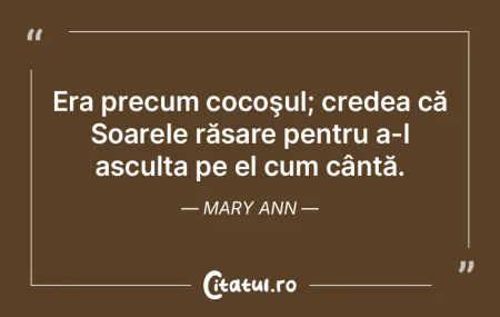 Soarele, luna şi stelele ar fi dispăru...