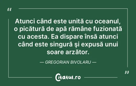 Umbrele - borne de întuneric pe drumul ...
