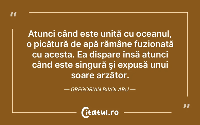 Citat Gregorian Bivolaru - citate viata