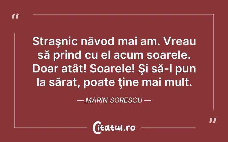 Citat Marin Sorescu - citate viata
