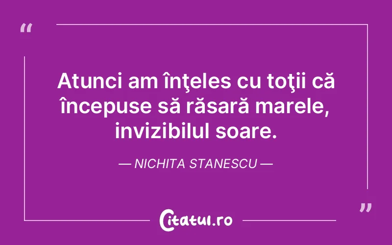 Citat Nichita Stanescu - citate viata