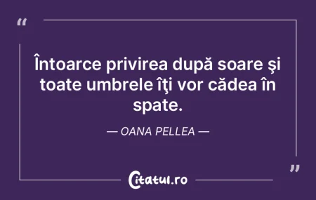 Toţi mincinoşii stau la soare; hoţii ...