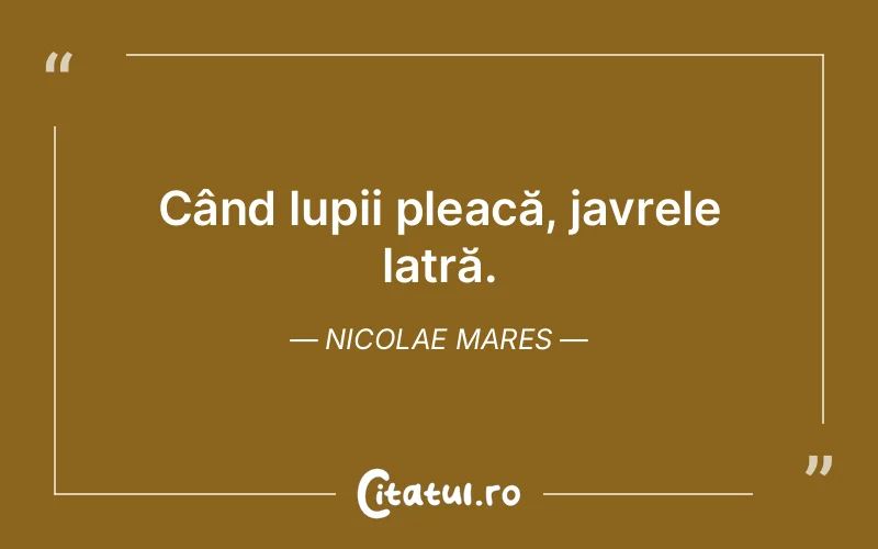 Citat Nicolae Mares - citate viata