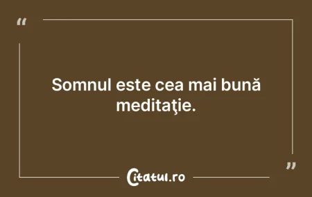 Meditaţia nu este evadare, ci întâlni... Meditaţia nu este evadare, ci întâlni...
