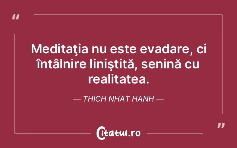 Citat Thich Nhat Hanh - citate viata