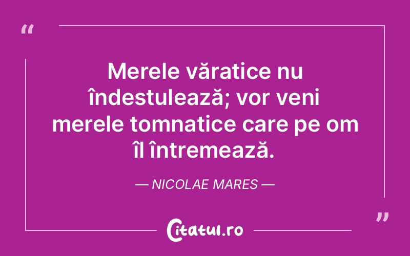 Citat Nicolae Mares - citate viata