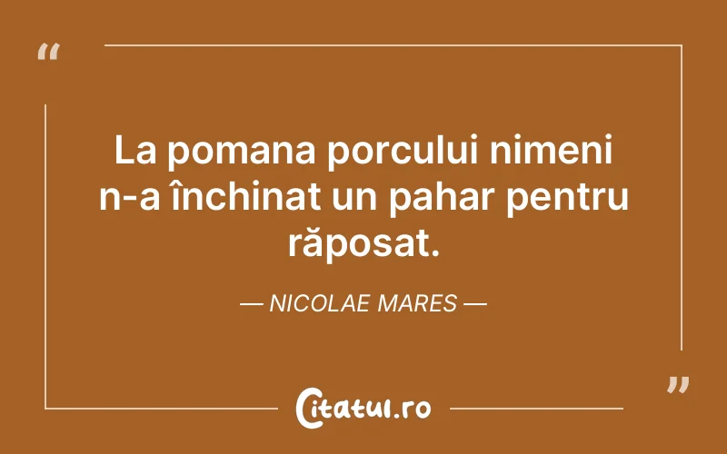Citat Nicolae Mares - citate viata