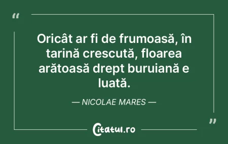 Concluzia misoginilor: - fără neveste ... Concluzia misoginilor: - fără neveste ...