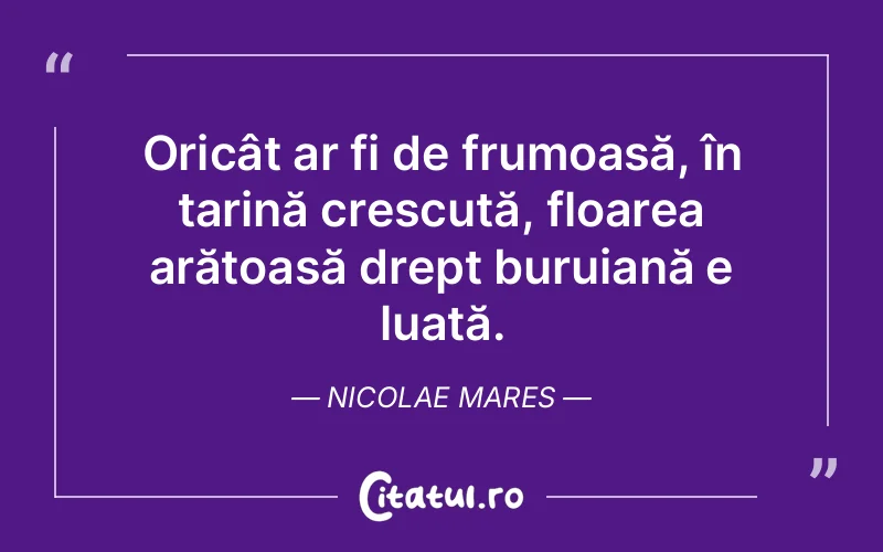 Citat Nicolae Mares - citate viata