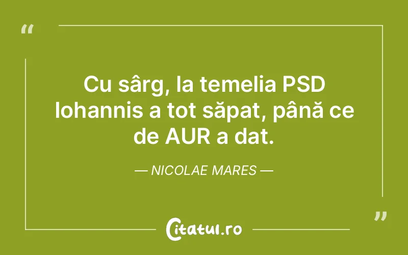 Citat Nicolae Mares - citate viata