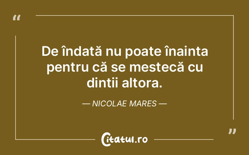 Citat Nicolae Mares - citate viata