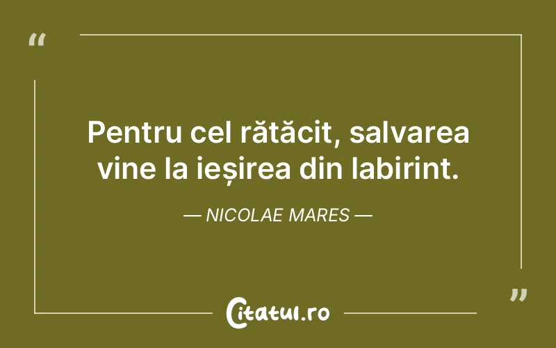 Citat Nicolae Mares - citate viata