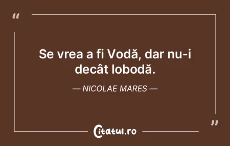 Ști-vor boii oare pentru cine ară? Nic... Ști-vor boii oare pentru cine ară? Nic...