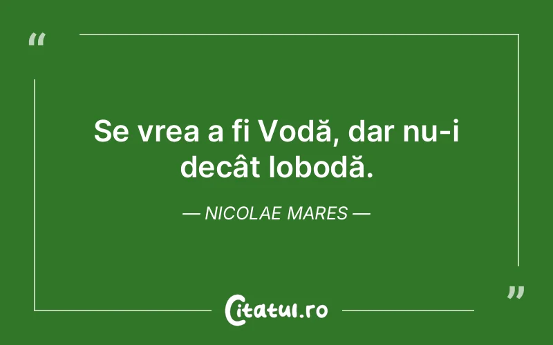 Citat Nicolae Mares - citate viata