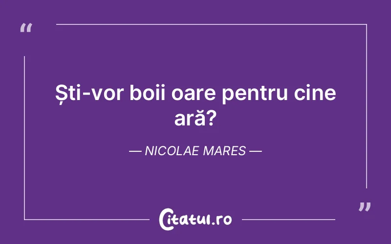 Citat Nicolae Mares - citate viata