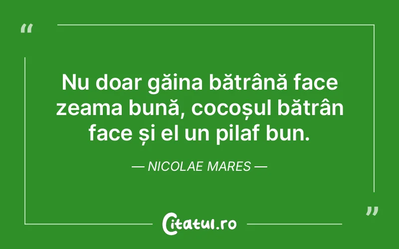 Citat Nicolae Mares - citate viata