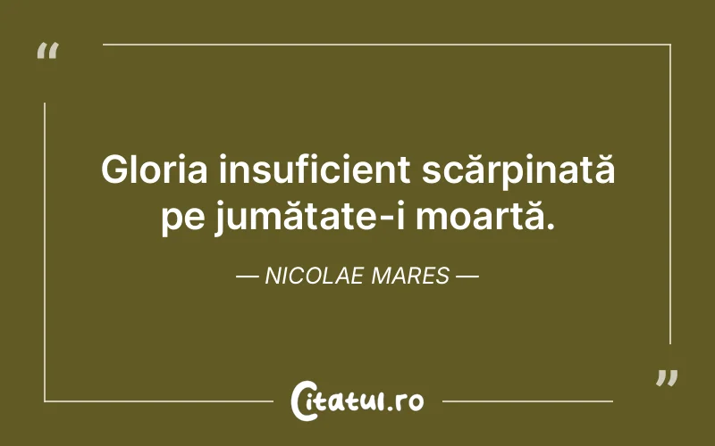 Citat Nicolae Mares - citate viata
