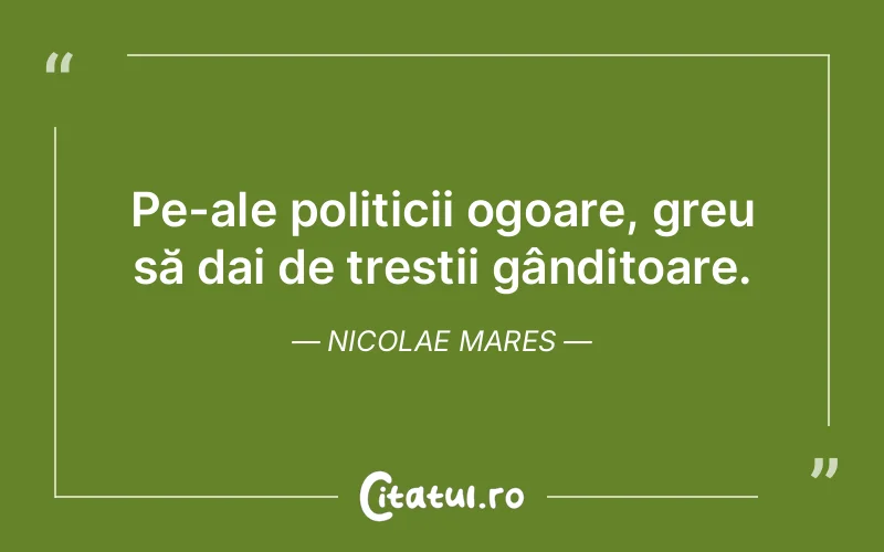 Citat Nicolae Mares - citate viata