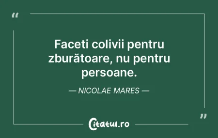 În sensul giratoriu, tot mergând și i...