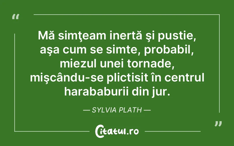 Citat Sylvia Plath - citate viata