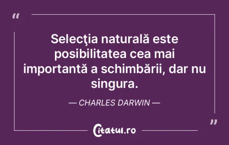 Fiecare om, în care există un talent a... Fiecare om, în care există un talent a...