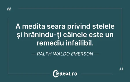 Nu rumegă stele reci în sângele tău. Nu rumegă stele reci în sângele tău.
