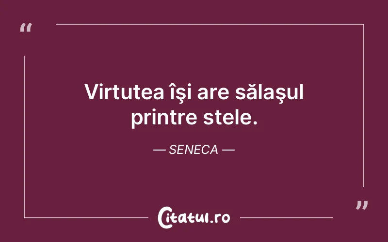 Citat Seneca - citate viata