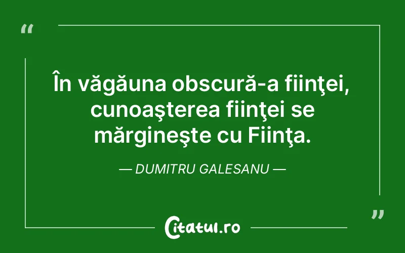 Citat Dumitru Galesanu - citate viata