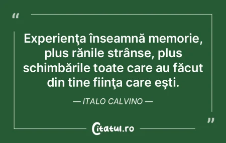 Ceea ce îmi lipseşte mă defineşte ma... Ceea ce îmi lipseşte mă defineşte ma...