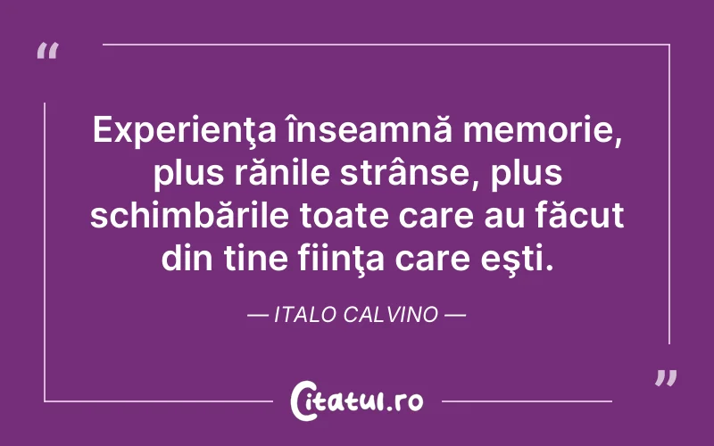 Citat Italo Calvino - citate viata