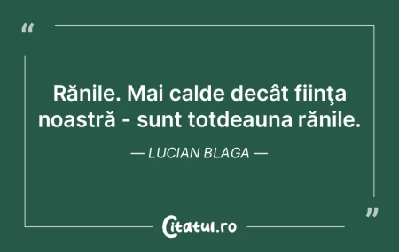 E dificil să evaluezi pe cineva fără ... E dificil să evaluezi pe cineva fără ...