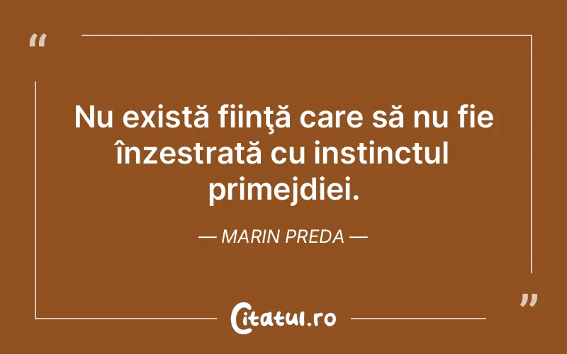 Citat Marin Preda - citate viata