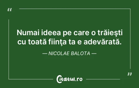 Nimeni nu poate fi o fiinţă sau un obi... Nimeni nu poate fi o fiinţă sau un obi...