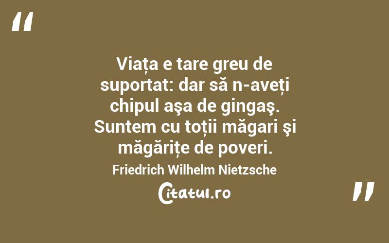 Viaţa e tare greu de suportat: dar să n-aveţi chipul aşa de gingaş. Suntem cu toţii măgari şi măgăriţe de poveri. Friedrich Wilhelm Nietzsche