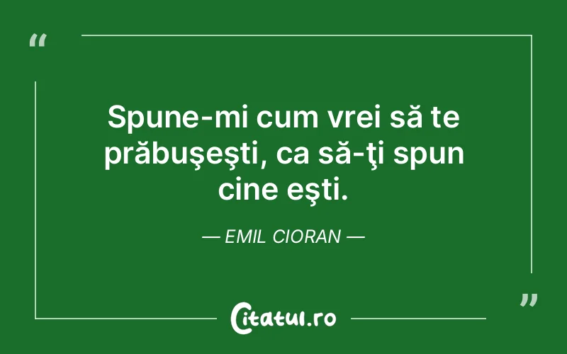 Citat Emil Cioran - citate viata