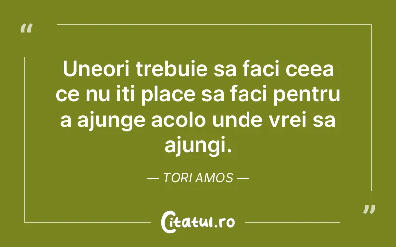 Citat Tori Amos - citate viata