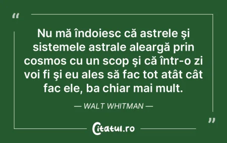 Minţile mari au scopuri, minţile mici ...