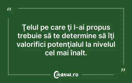 Adevăratul scop al stabilirii ţelurilo...