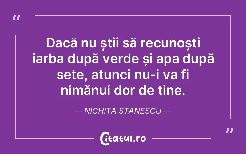 Citat Nichita Stanescu - citate viata