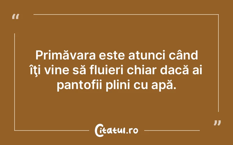 Citat Autor necunoscut - citate viata