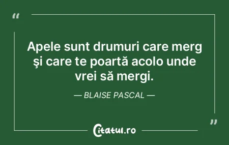 Apele liniştite sunt adânci. Feodor Mi...