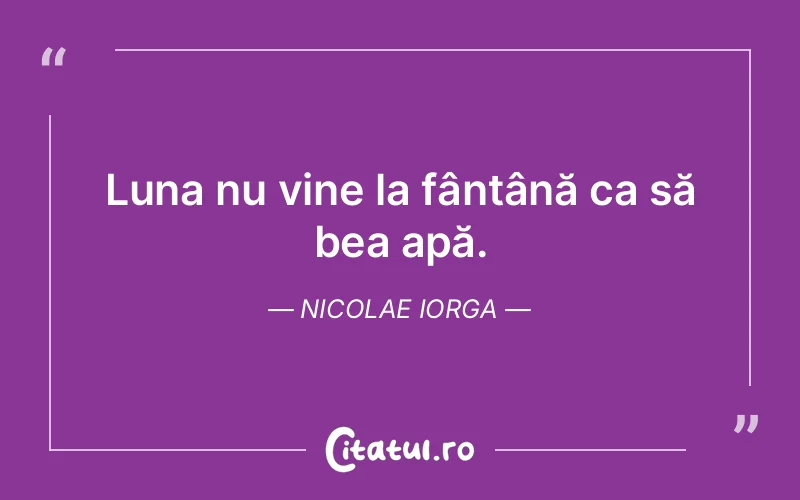 Citat Nicolae Iorga - citate viata